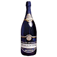 PIAGENTINI